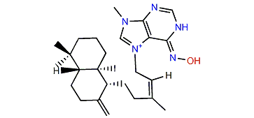 Ageloxime D